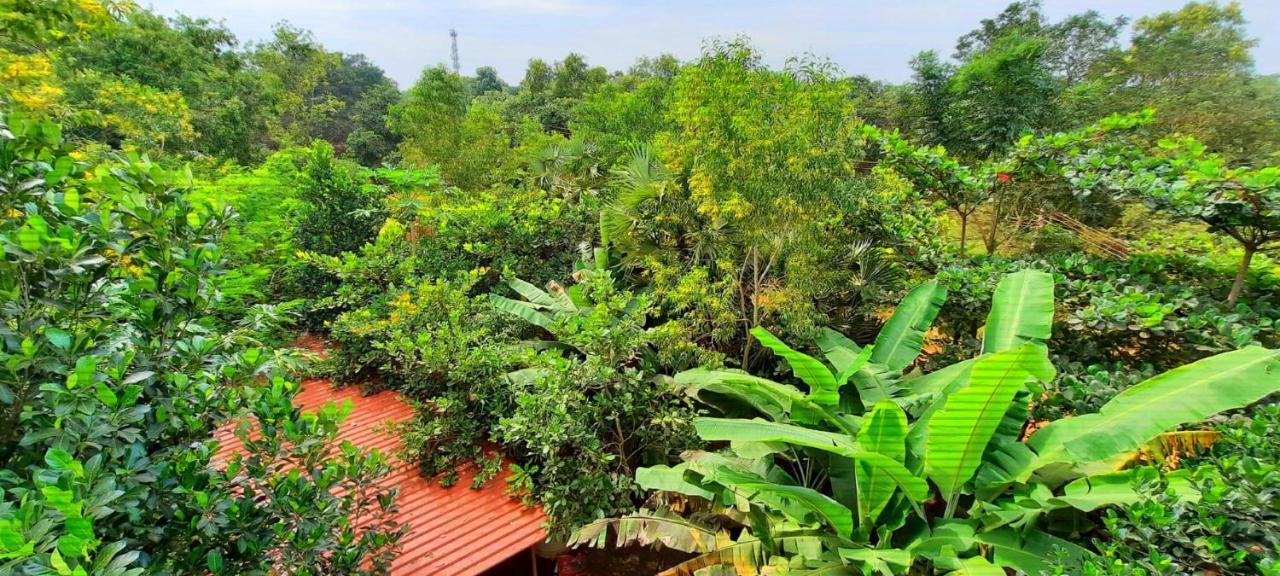 Unearth Hostel Auroville Exterior foto