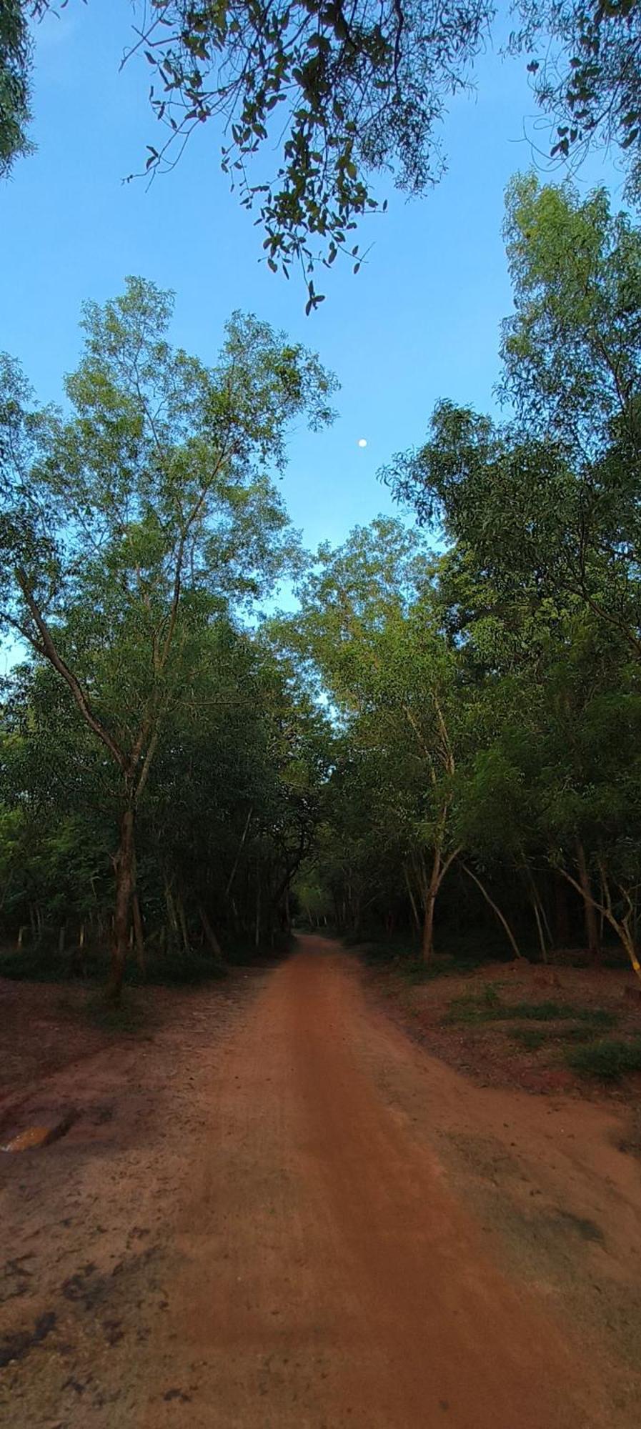 Unearth Hostel Auroville Exterior foto